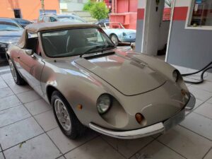 puma-douradao-restaurado-toca-do-puma