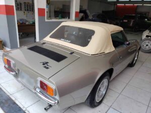 puma-douradao-restaurado-toca-do-puma-original