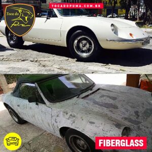 Fiberglass | Toca do Puma