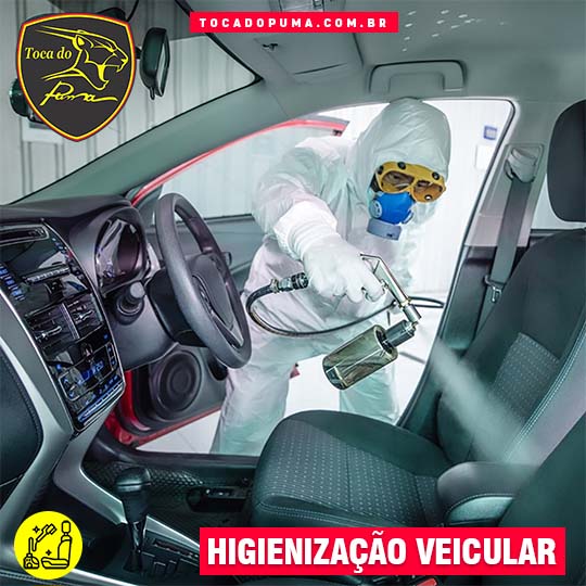 Higienização Veicular | Toca do Puma