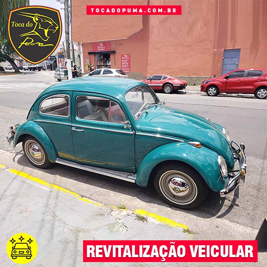 Estética Automotiva | Toca do Puma